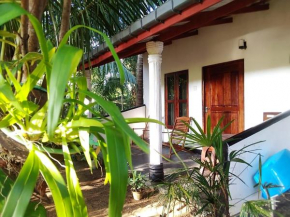 THE NEVANS SIGIRIYA